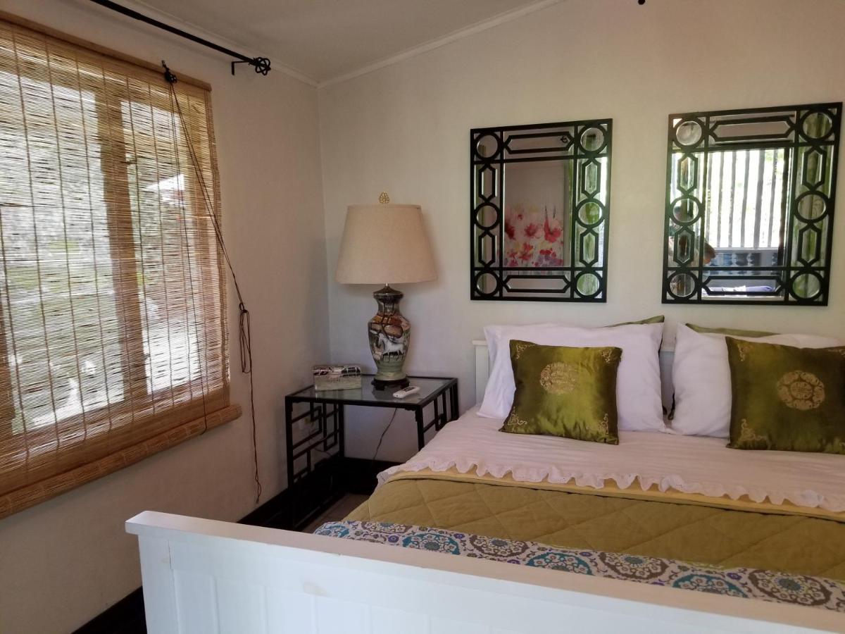 Casa Sophia 3 Listings Apartment 1 Or Apartment 2 Separately Or Apt 1 And 2 Together All With Fo Internet Guápiles Εξωτερικό φωτογραφία