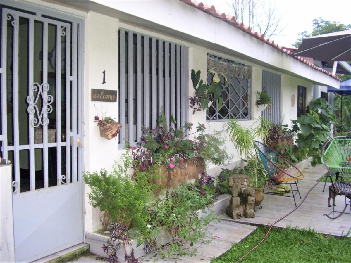 Casa Sophia 3 Listings Apartment 1 Or Apartment 2 Separately Or Apt 1 And 2 Together All With Fo Internet Guápiles Εξωτερικό φωτογραφία